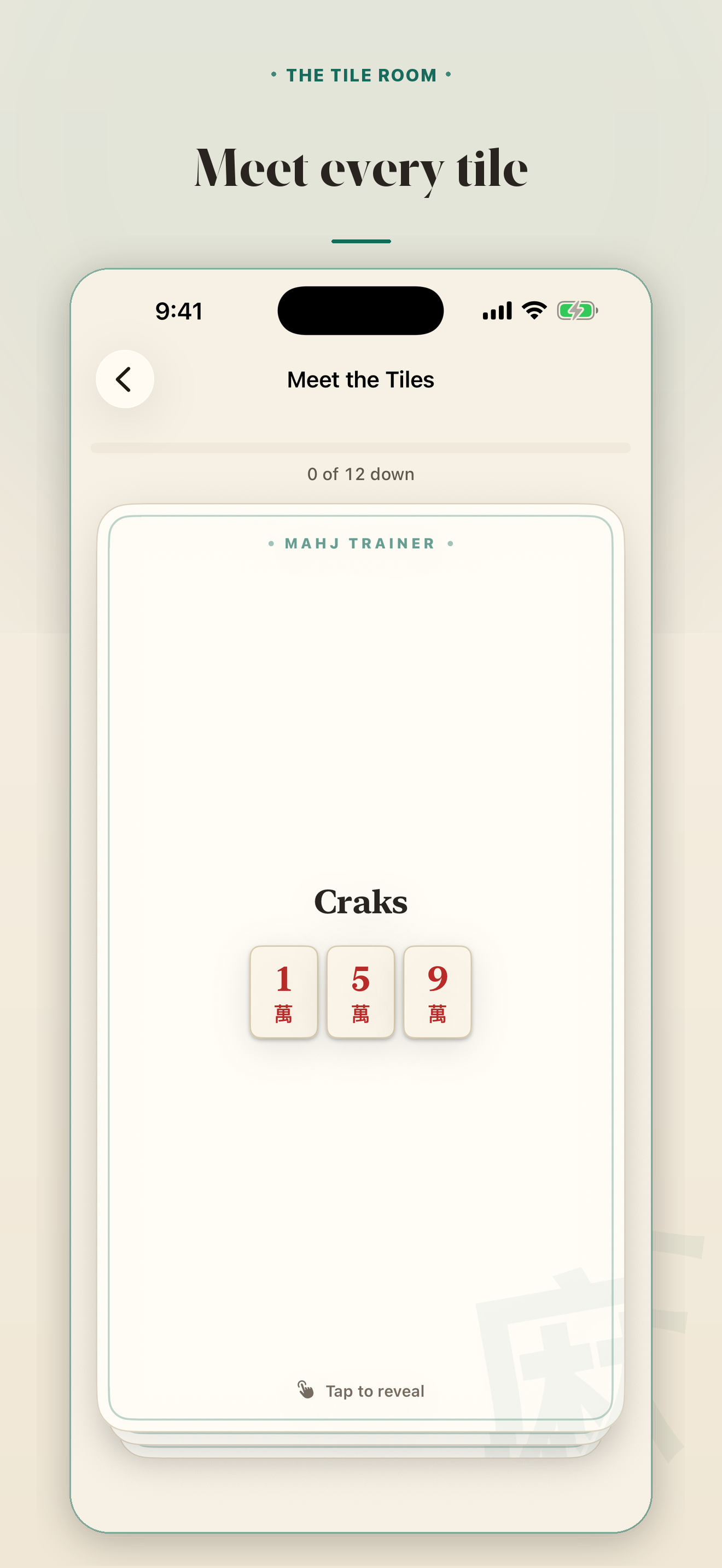Every tile family. &mdash; The Tile Room covering craks, bams, dots, winds, dragons, flowers, and jokers